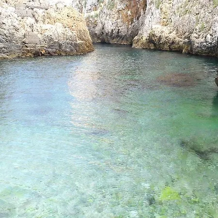 Salento Il Viandante Bed & Breakfast