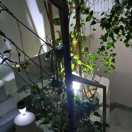 Salento Il Viandante Bed & Breakfast